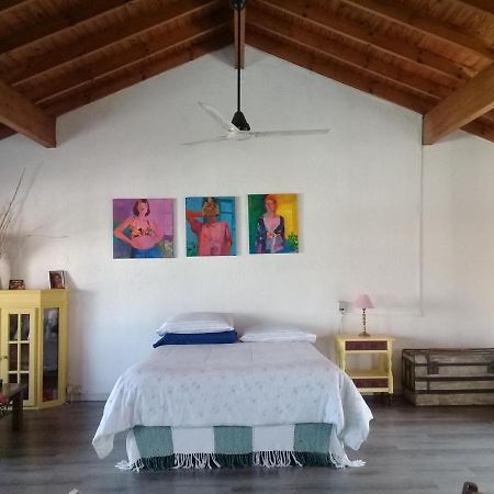 אוולנדה La Casa De Los Murales מראה חיצוני תמונה
