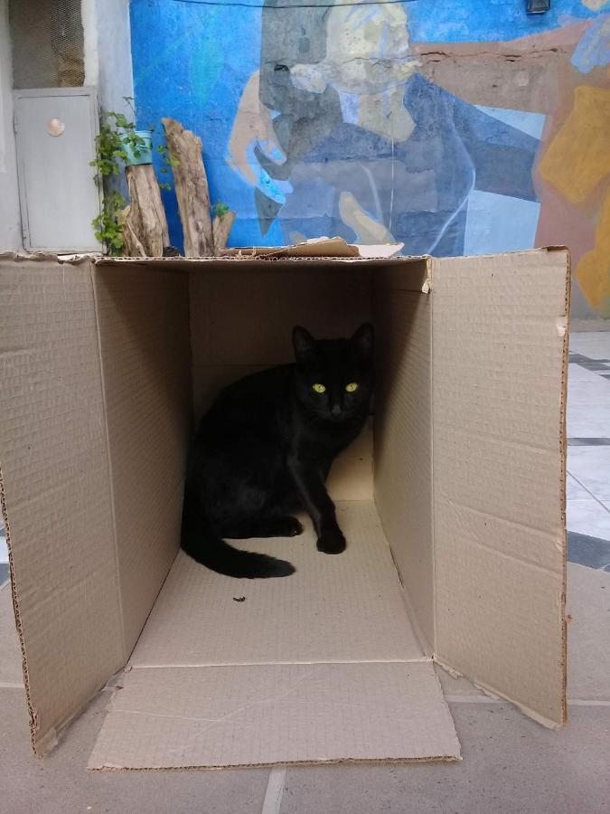אוולנדה La Casa De Los Murales מראה חיצוני תמונה