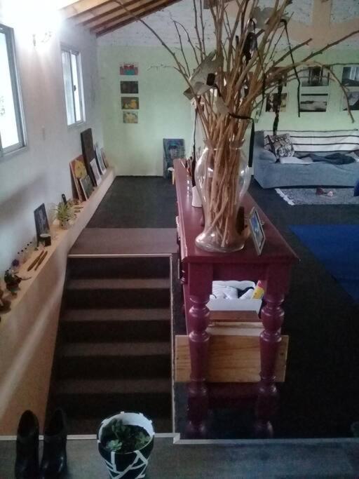 אוולנדה La Casa De Los Murales מראה חיצוני תמונה